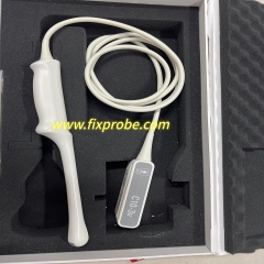 Philips C10-3V Endocavitary Probe Repair and Sale