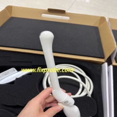 GE E8C-RS Endocavitary Probe Repair