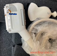 Esaote C1-8 Convex Probe Repair Service