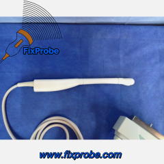 Biosound Esaote EC123 Ultrasound Probe Repair and sale