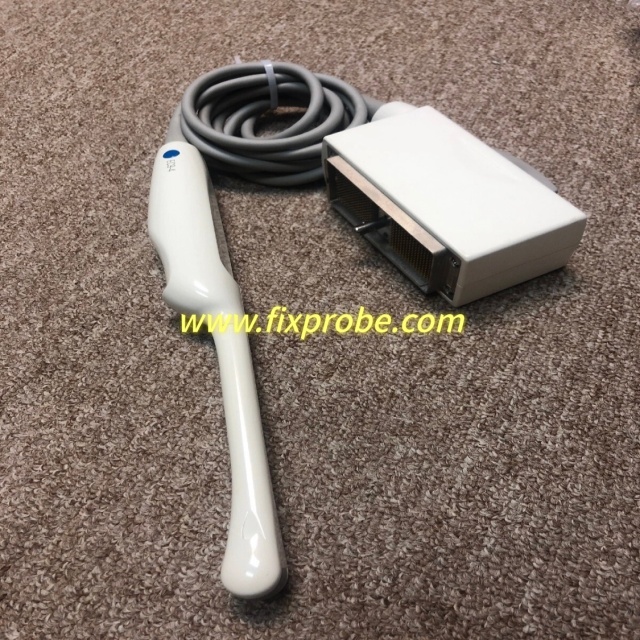 Siemens EC9-4 Intra Cavity Probe Repair and Sale