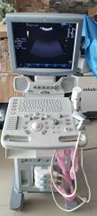 Pre-owned GE Logiq P5 with 4 probes for sale