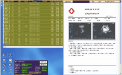 Ultrasound Report Software