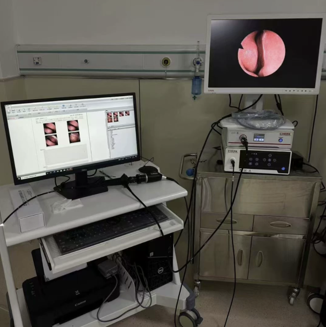 Ultrasound Report Software