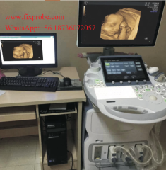 Ultrasound Report Software
