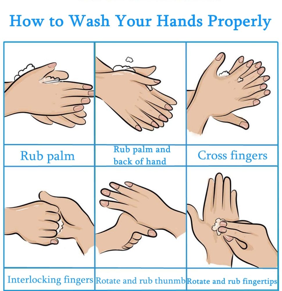 Hand Sanitizer Gel Quick-drying Water-free Disposable Antibacterial Hygienic Gel Containing 75% Alcohol Bacteriostatic Gel for Home Office(100ml)
