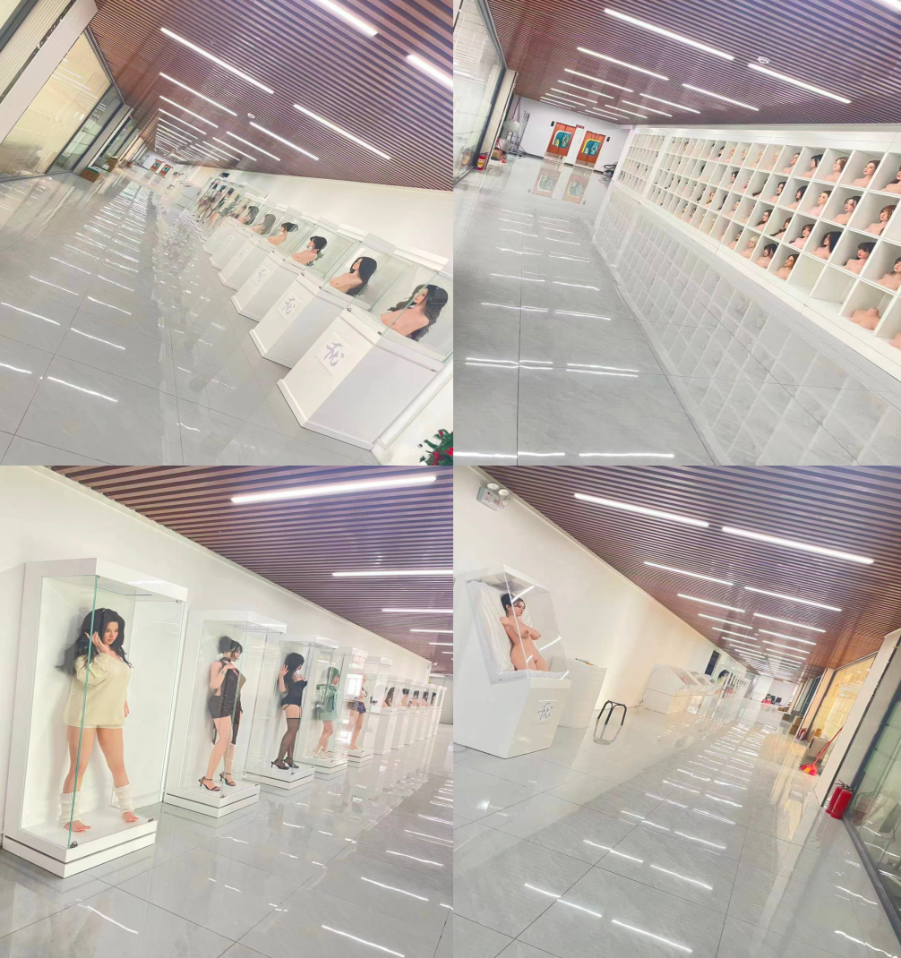 Seylix Custom Process