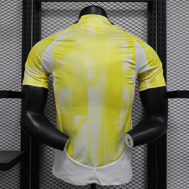Juventus Authentic Soccer Jersey Away Shirt 2024/25