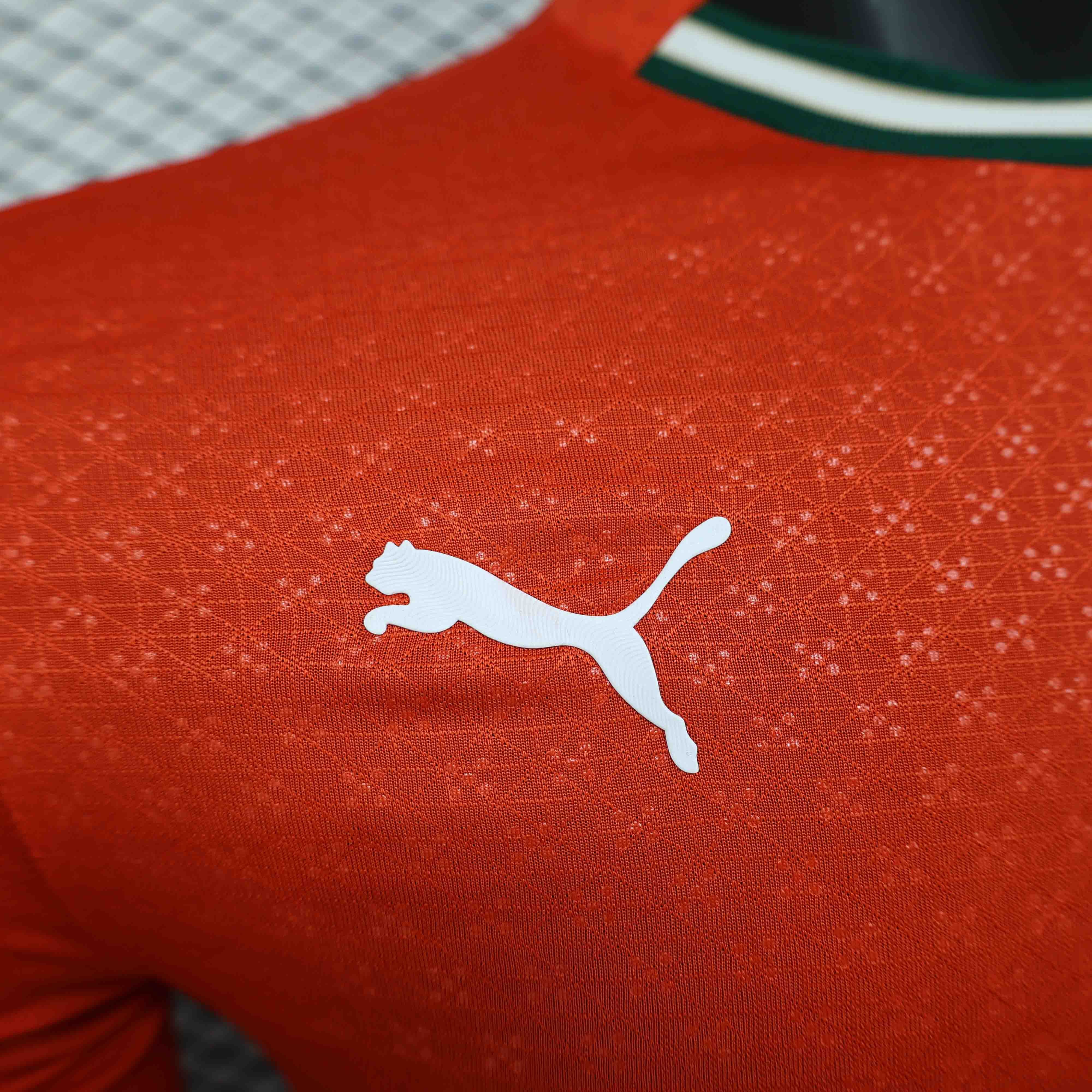 Portugal Authentic Soccer Jersey Home Long Sleeve Shirt 2025