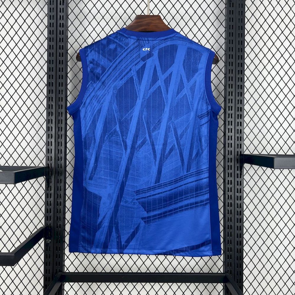 Chelsea Football Jersey Home Custom Vest 2025/26