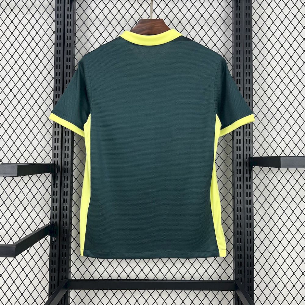 Barcelona Soccer Jersey Training Custom Shirt 2024/25