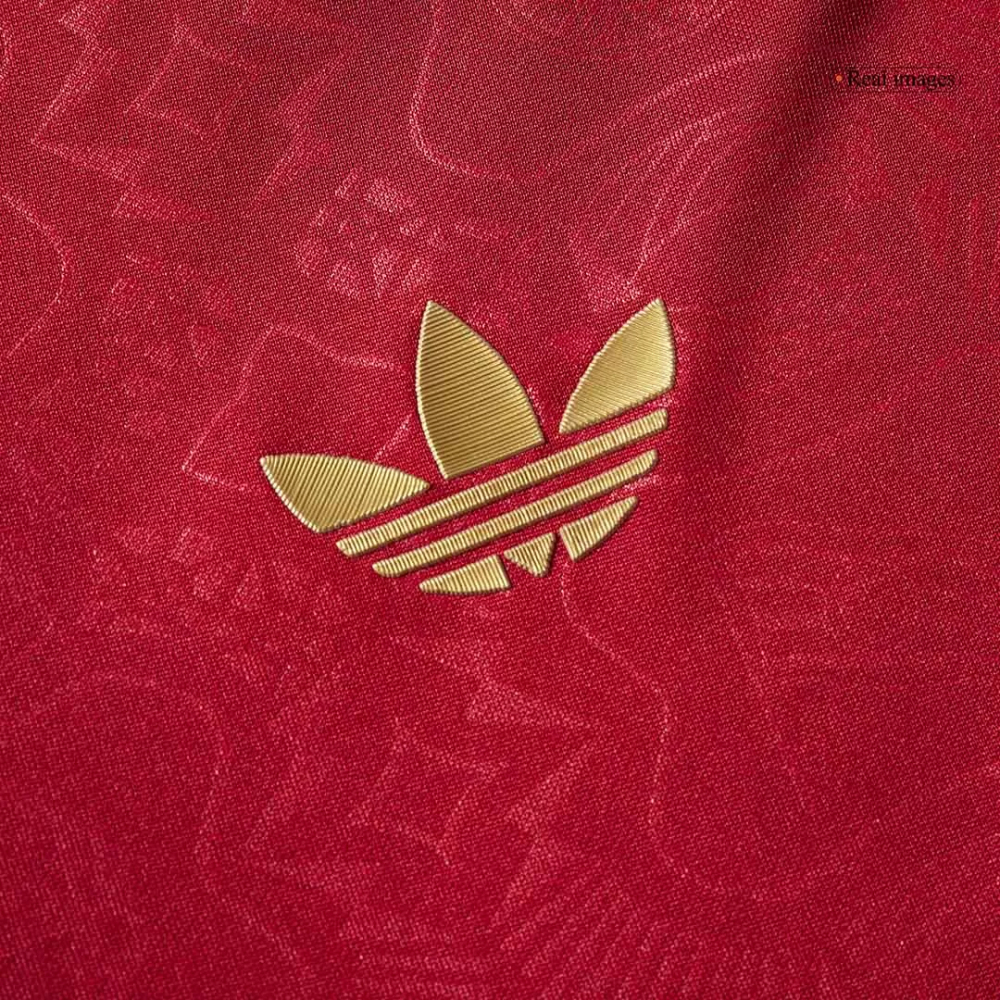 Bayern Munich Soccer Jersey Shirt 2025/26 125th Anniversary