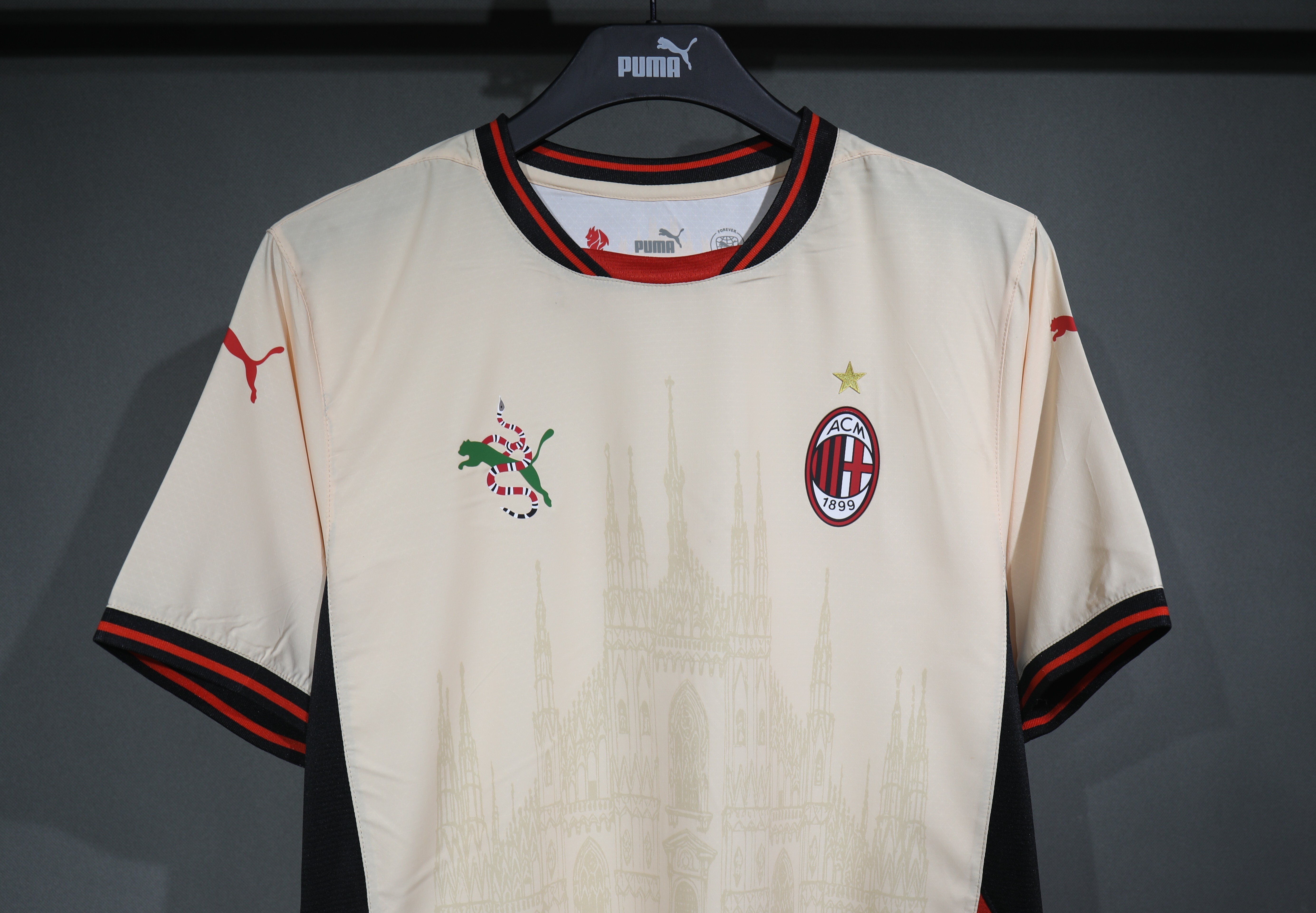 AC Milan Authentic Soccer Jersey Cathedral Special Edition Shirt 2025/26