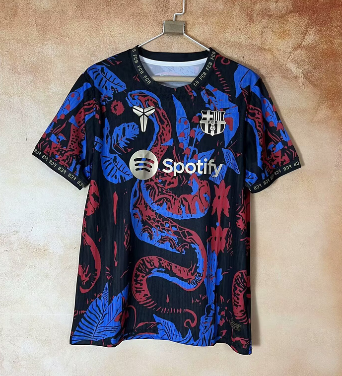 Barcelona Soccer Jersey Special Edition Custom Shirt 2025/26