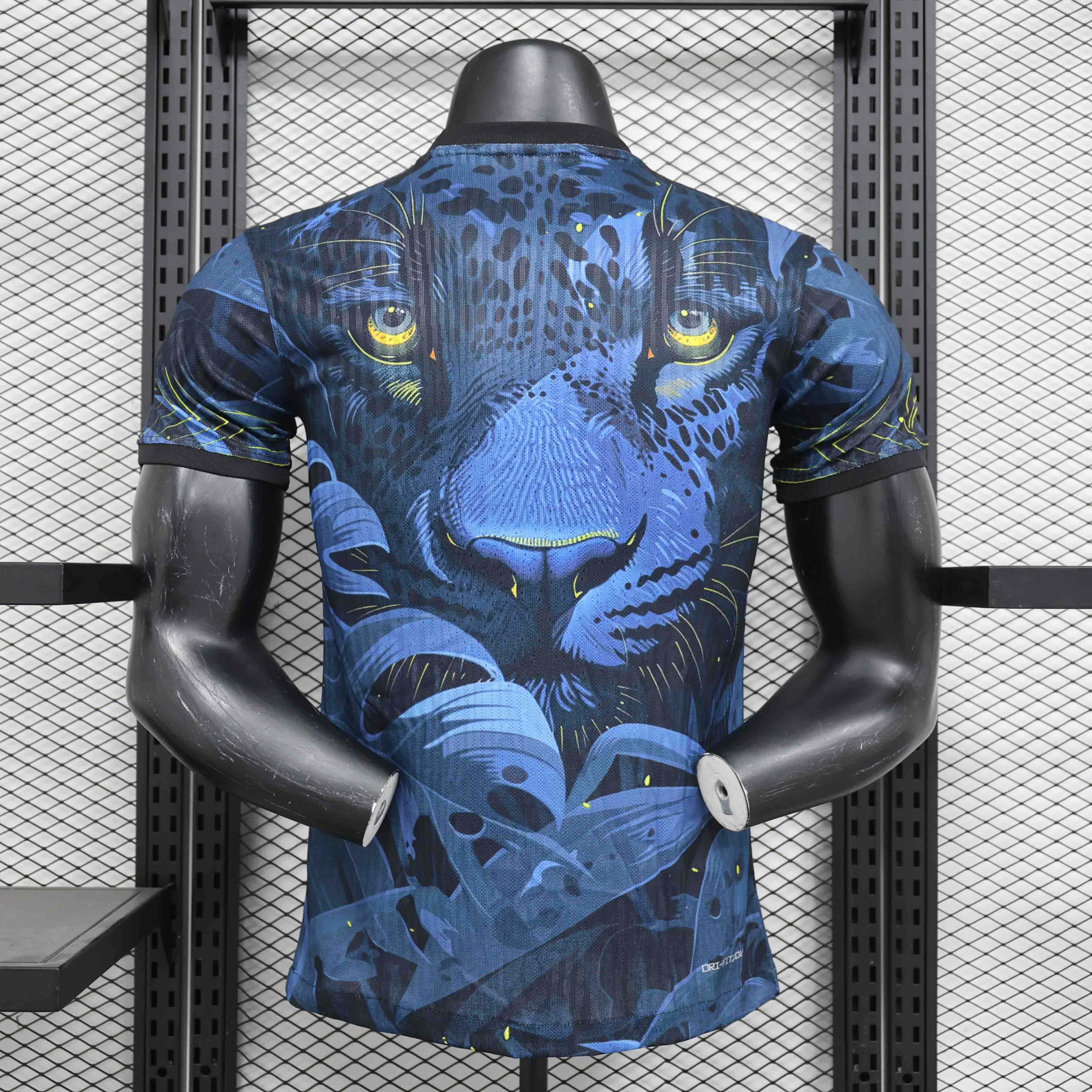 Brazil Authentic Soccer Jersey Special Edition Shirt 2024