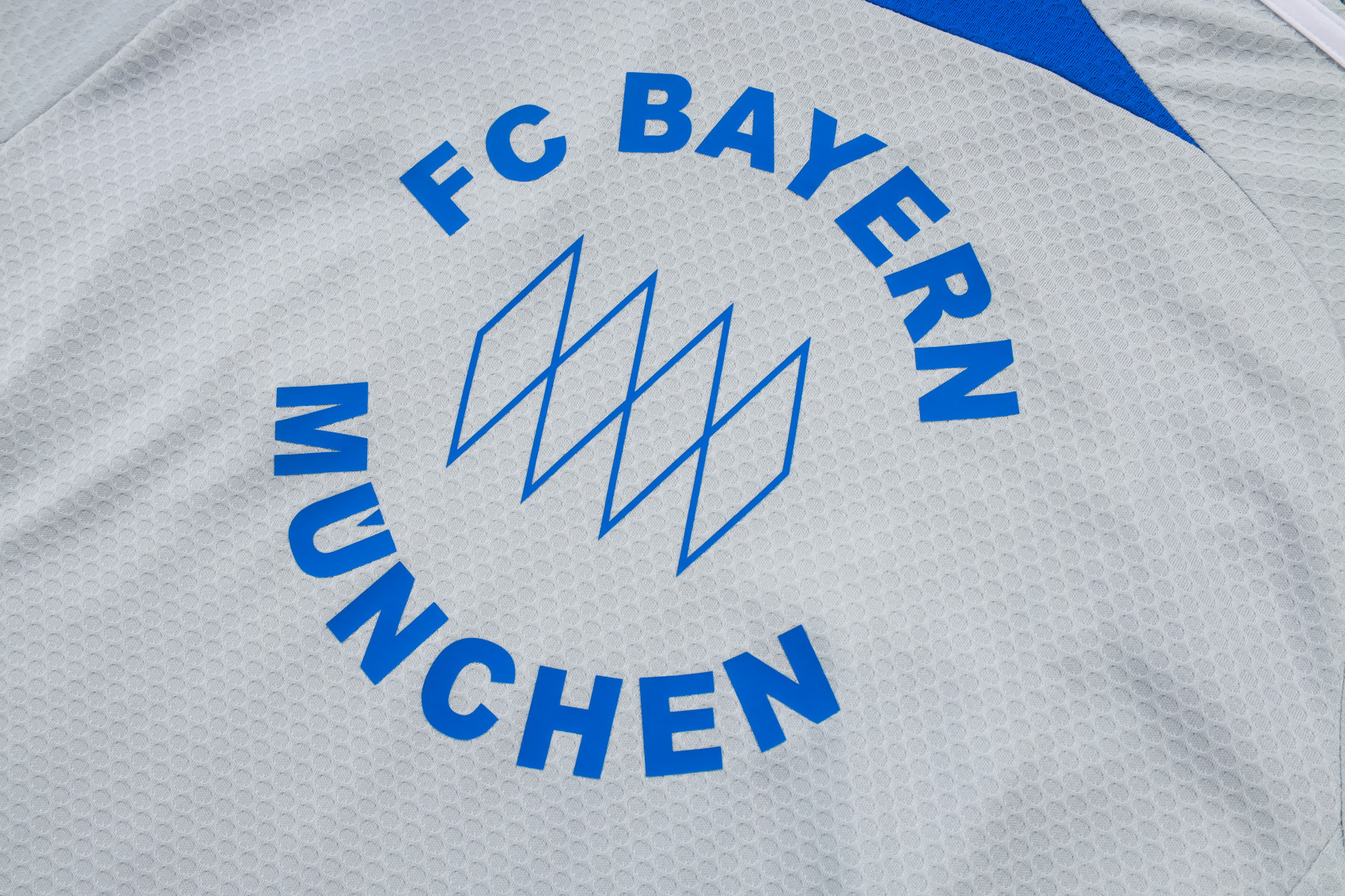 Bayern Munich Training Jersey Kit Gray 2025/26