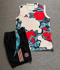 Bayern Munich Sleeveless Training Kit 2025/26