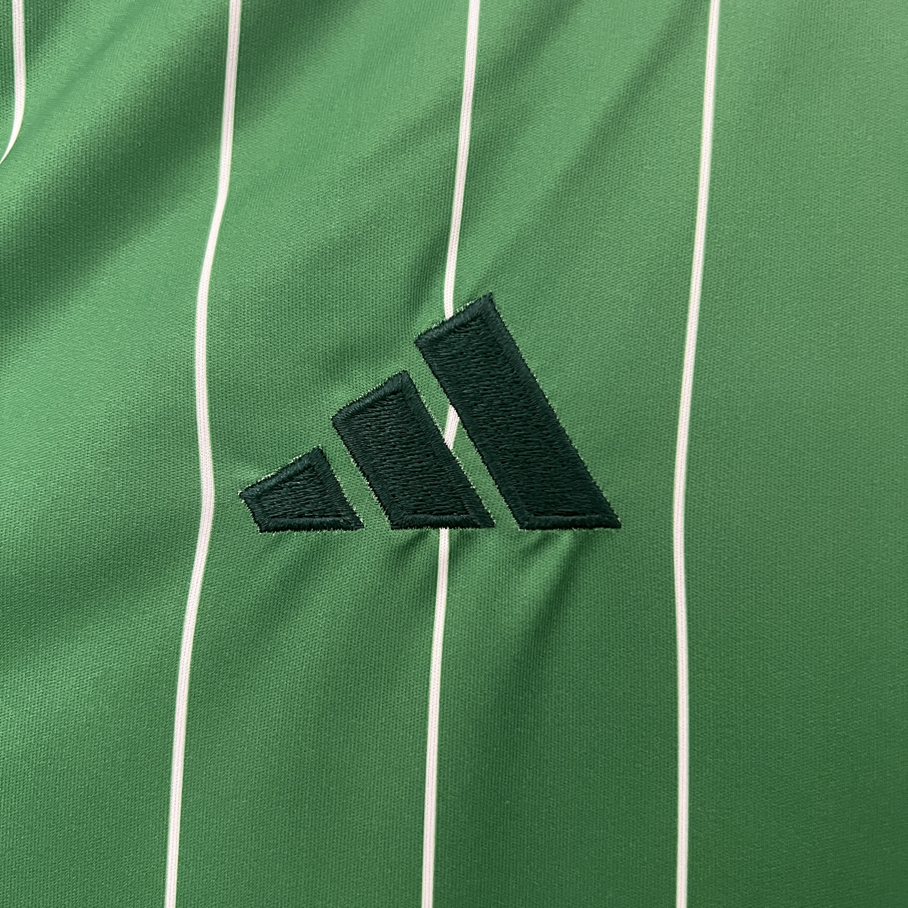 Celtic Soccer Jersey Special Edition Custom Shirt 2024/25