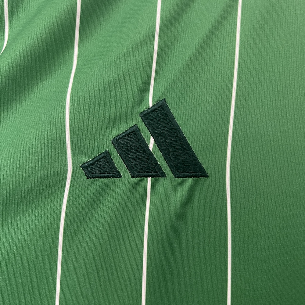 Celtic Soccer Jersey Special Edition Custom Shirt 2024/25