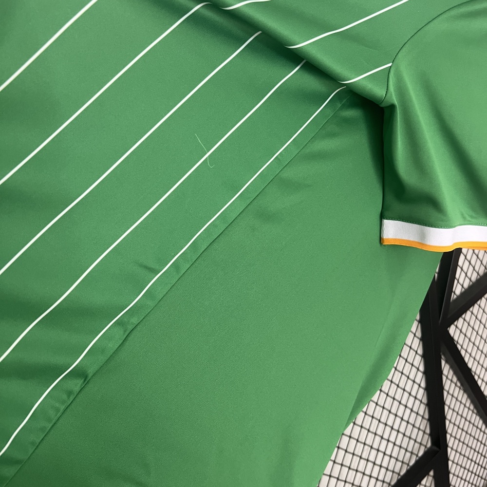 Celtic Soccer Jersey Special Edition Custom Shirt 2024/25