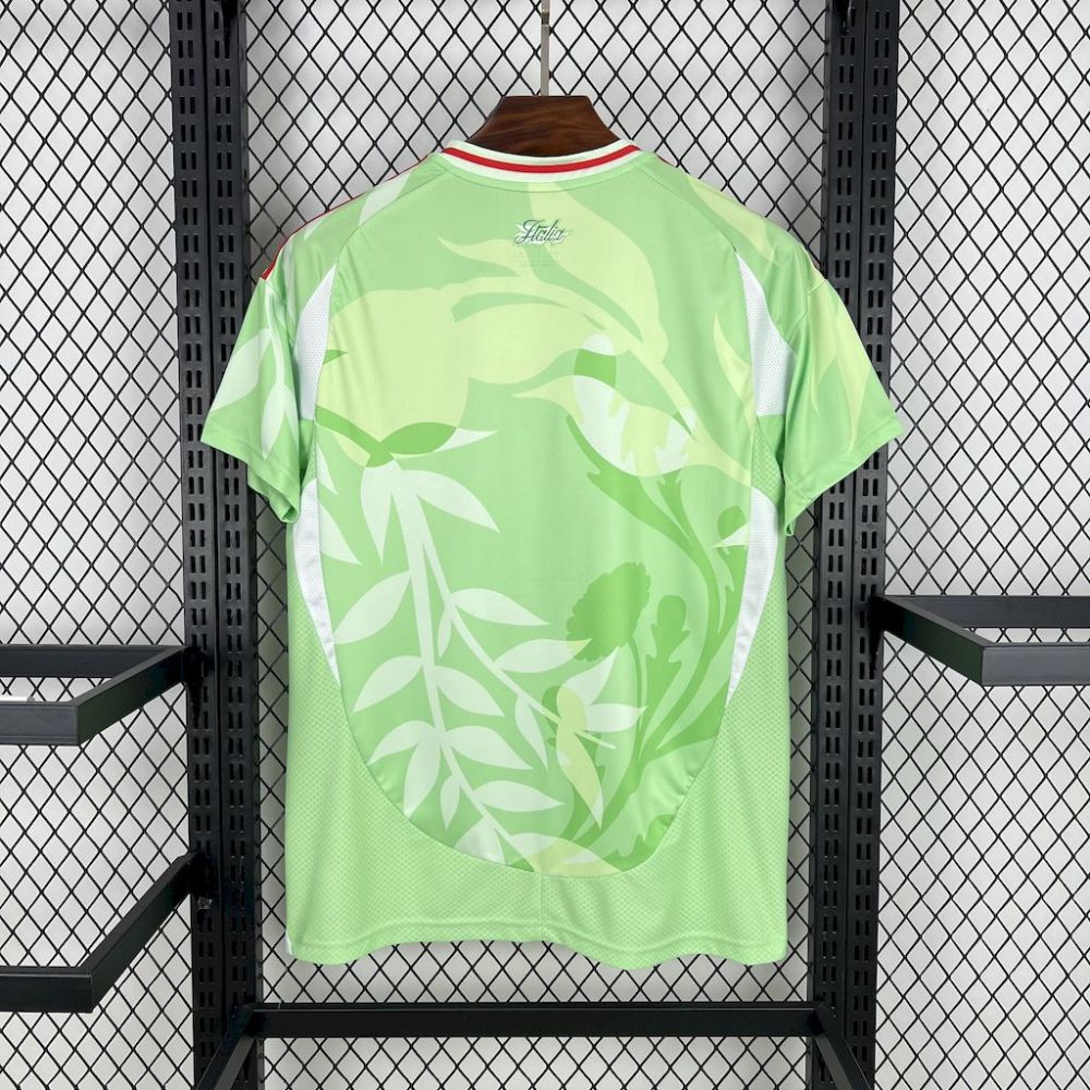 Italy Soccer Jersey Away Custom Shirt 2025