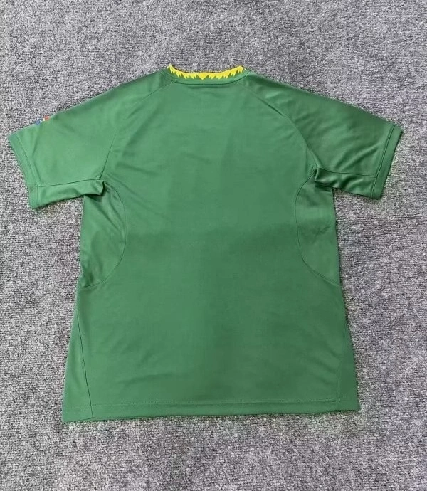 South Africa Soccer Jersey Home Custom Shirt World Cup 2025-26
