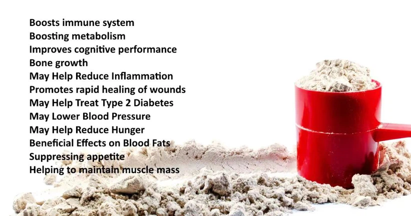 Whey Protein Isolate Powder