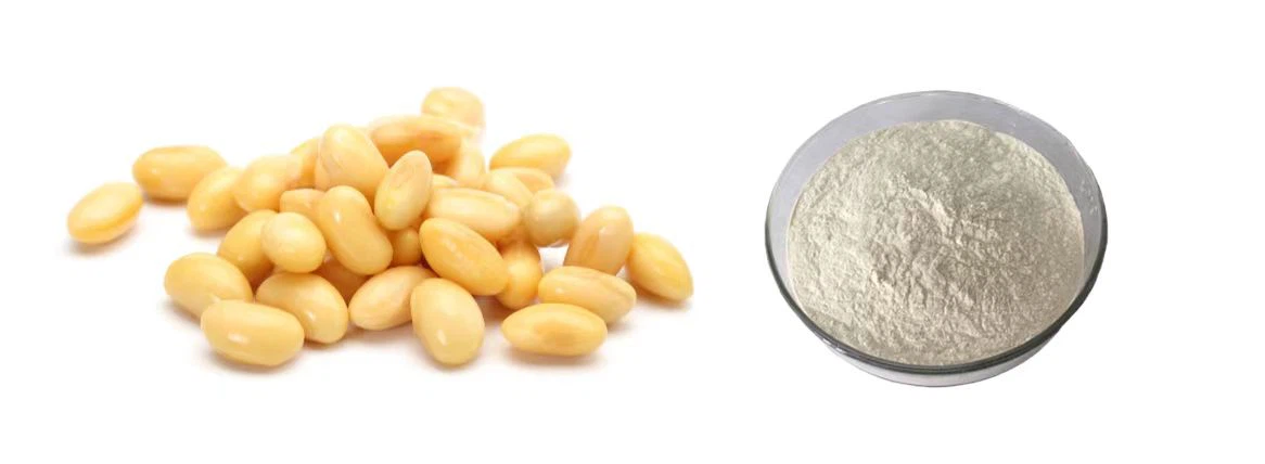 Soy Protein Isolate Powder