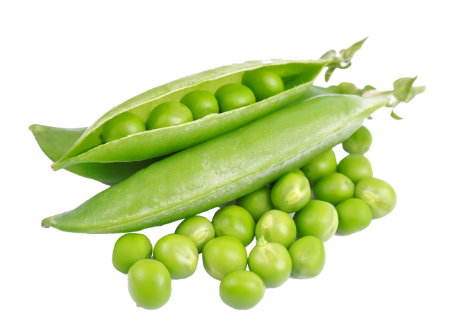 エンドウ豆プロテインパウダー85%
