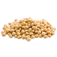 مسحوق بروتين الصويا النقي