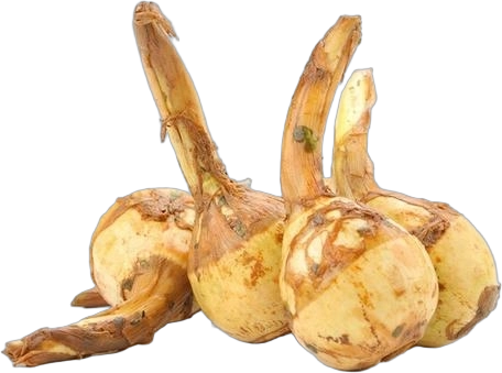Maca Extract Powder