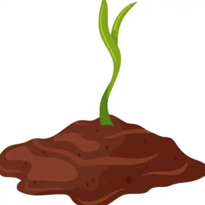 Maca Extract Powder