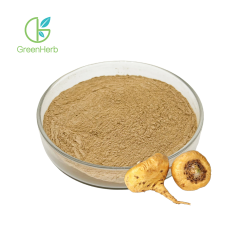 Maca-Extraktpulver