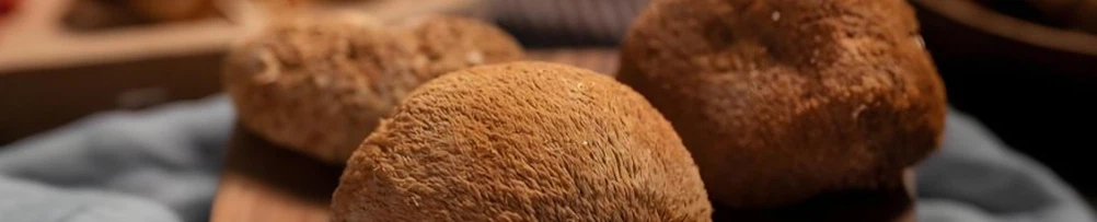 Lion's Mane Mushroom Extract Powder