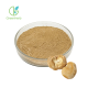 Lion's Mane Mushroom Extract Powder