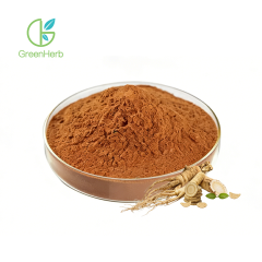Dong Quai Extract Powder