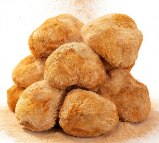 lion's mane mushroom extract powder