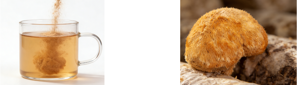 lion's mane mushroom extract powder
