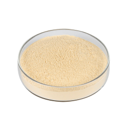 Ginseng Extract Powder