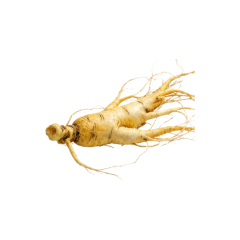 Ginseng Extract Powder