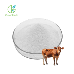 Bovine Collagen Extract Powder