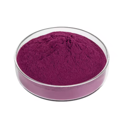 Cranberry Juice Extract Powder