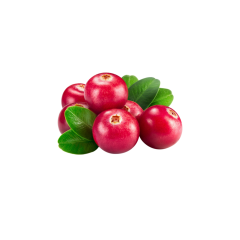 Cranberry Juice Extract Powder