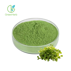 Alfalfa Grass Powder