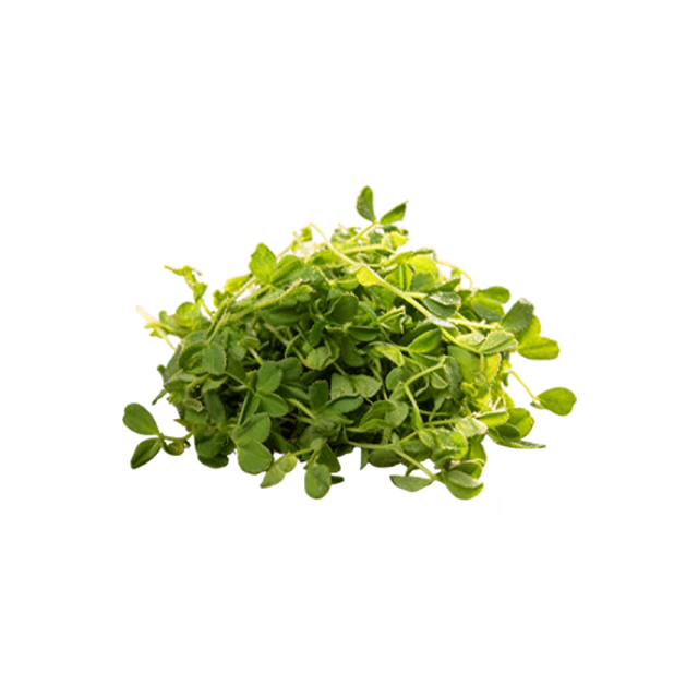 Alfalfa Grass Powder
