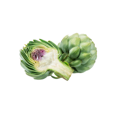 Artichoke Extract Cynarin