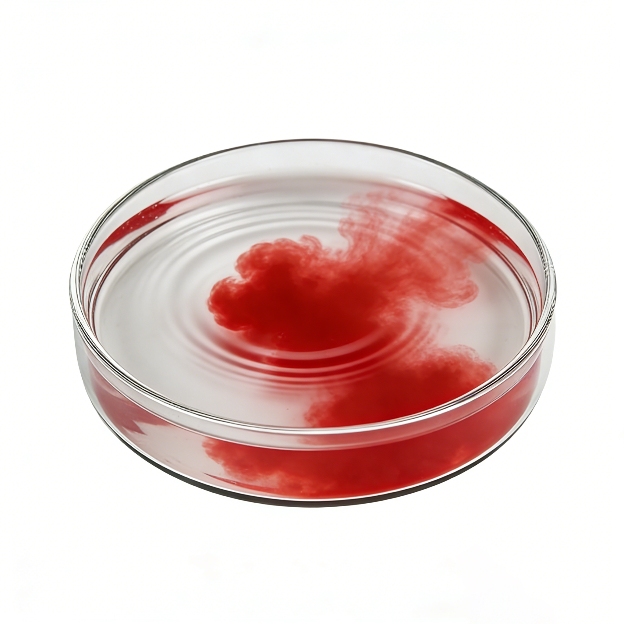 Cochineal Extract Supplier | High‑Quality Natural Additives