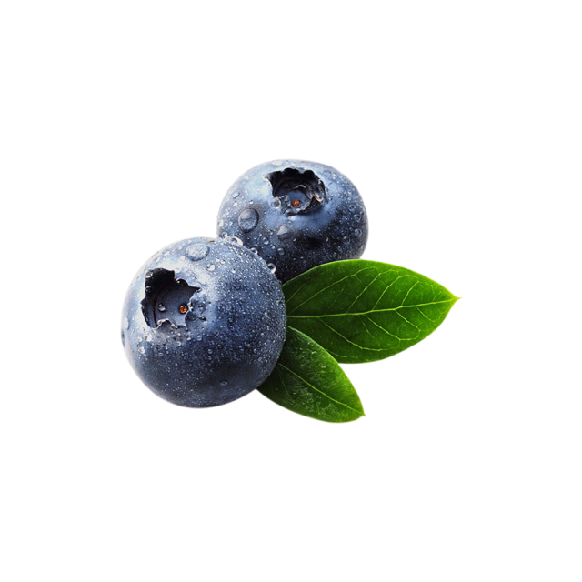 Blueberry Extract