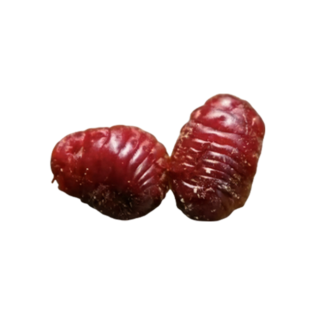 Cochineal Extract