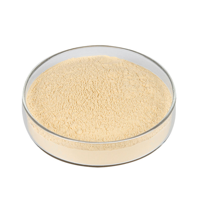 Broccoli Extract Powder